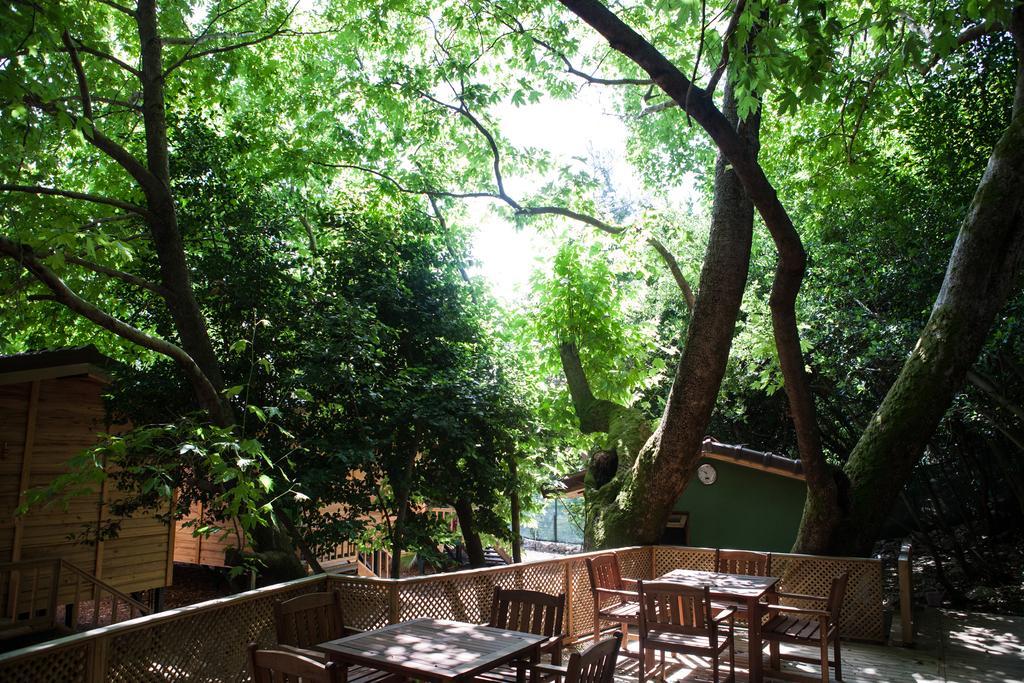 Ekinoks Hotel - Adults Only Cirali Exterior photo